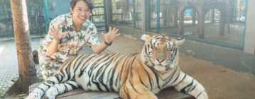 2025芭達雅。老虎園