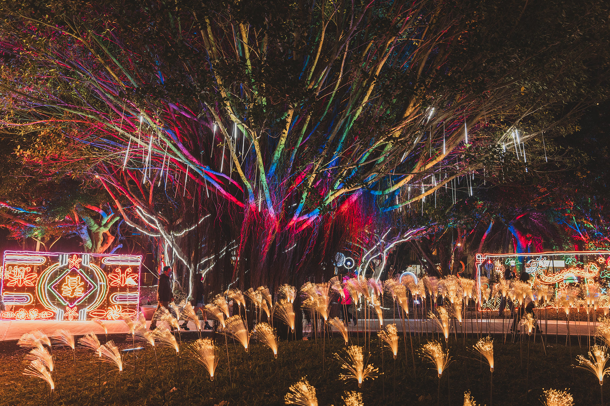 2025台灣燈會。光聚千塘串桃園