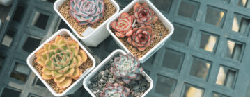 龍潭。阿真肉肉日記