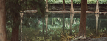 大溪。月眉人工濕地